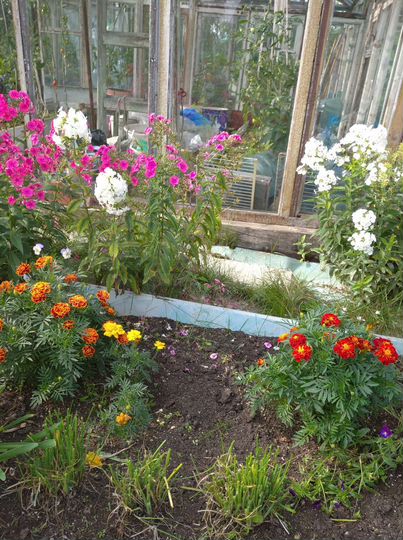 Дом 40,6 м² на участке 7,2 сот.