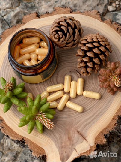 Сосновая пыльца сосны Крымской