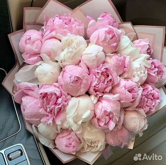 Пионы Цветы Доставка