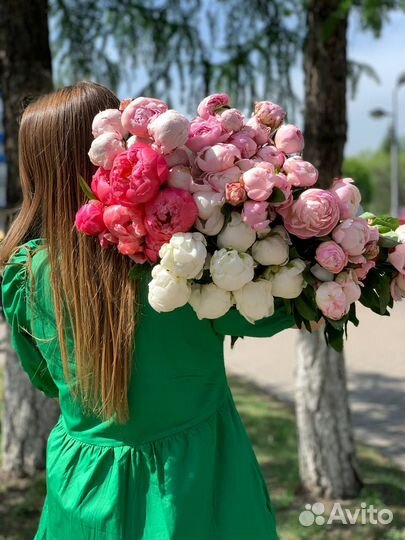 Пионы в наличии