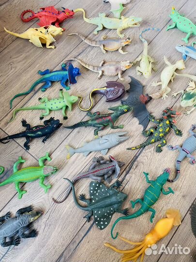 Коллекция рептилии, птицы и драконы