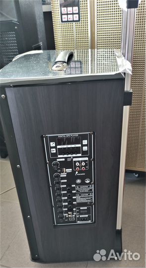 COV 612 100W (честных) Портативная акустич.система