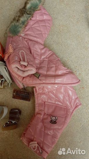 Одежда для собак, К1