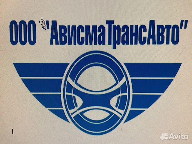 Водитель автомобиля