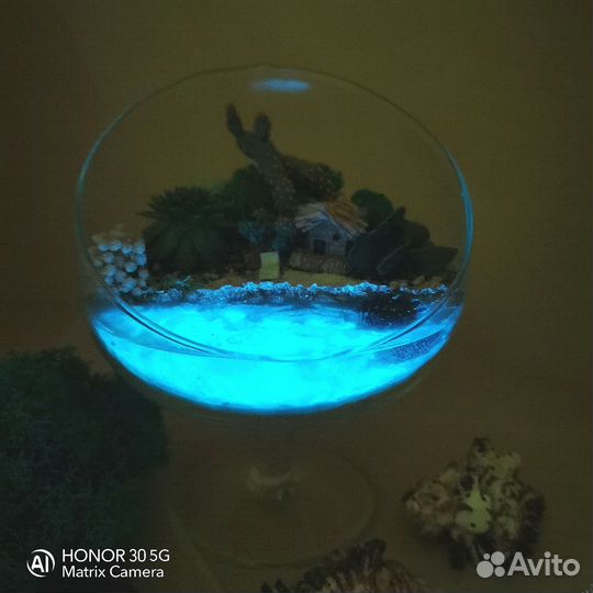 Флорариумы