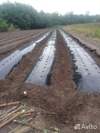 Плуг 86 Механический завод ПСК-5, 2022