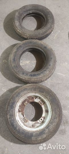 Шины для мотороллера муравей