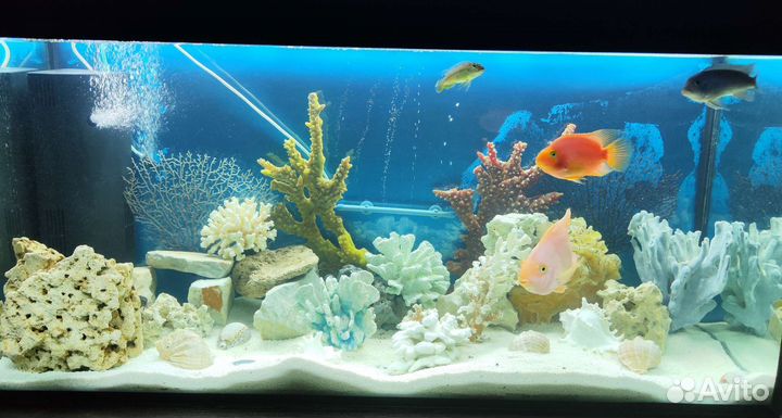 Аквариум