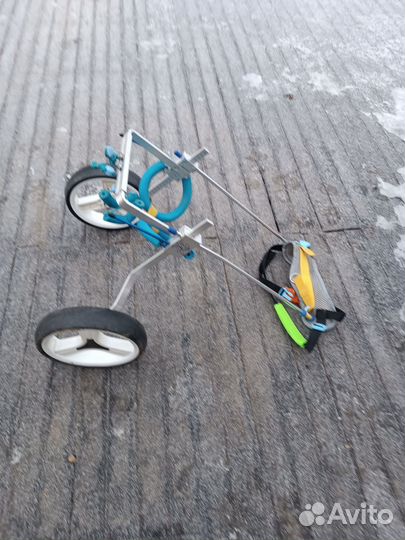 Инвалидная коляска для собак