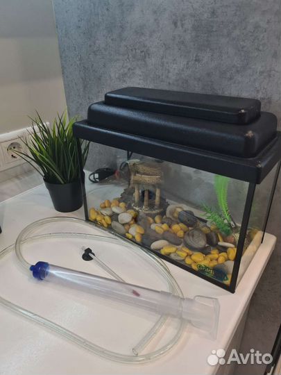 Аквариум+сифон+фильт+градусник+декор