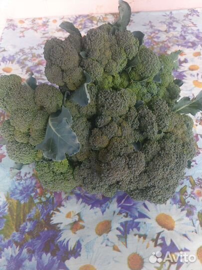 Продукты питания