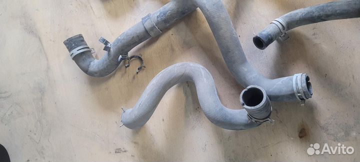 Патрубок охлаждения Ford Focus