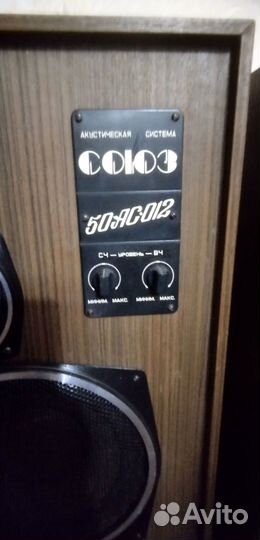 Колонки Союз 50ас-012