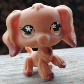 Littlest pet shop кокер