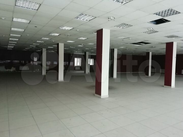 Торговая площадь 274.4 м²