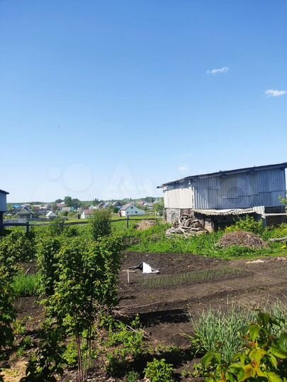 Участок 21,3 сот. (личное подсобное хозяйство (лпх))