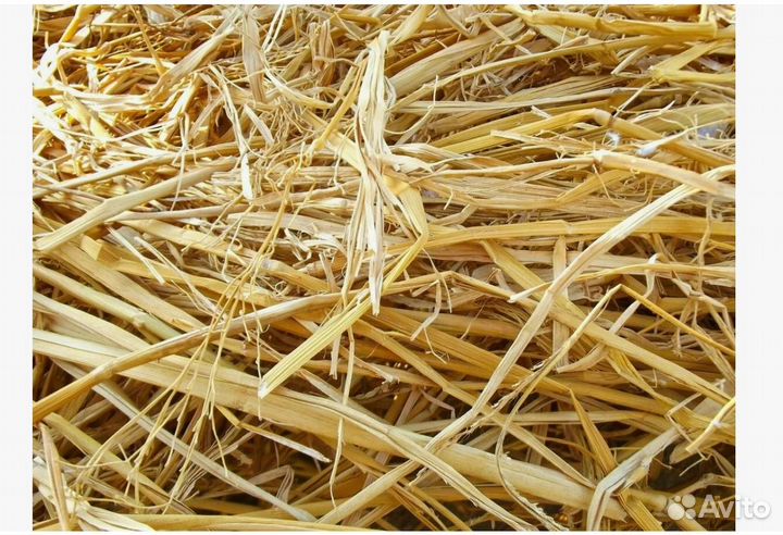 Солома в тюках