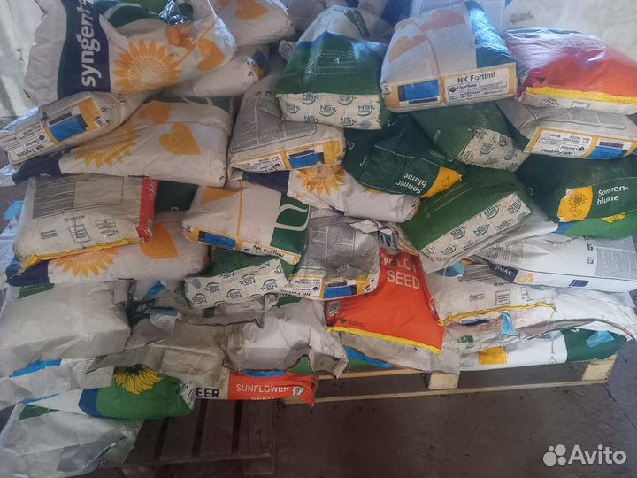 Семена подсолнечника гибрид