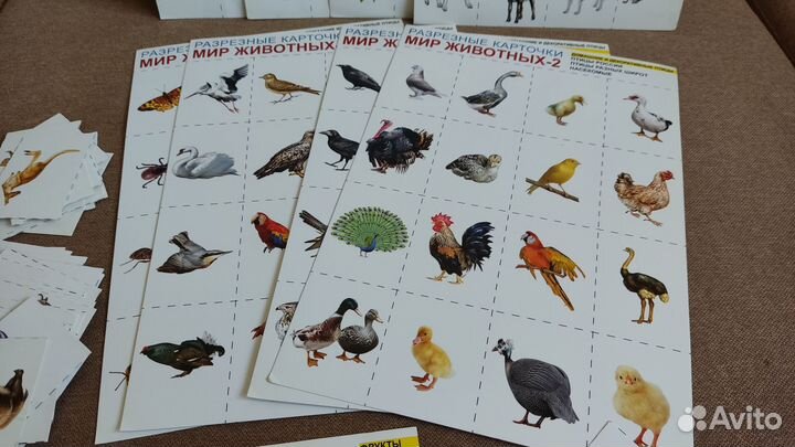 Пособие Развивающие карточки для детей 192 шт