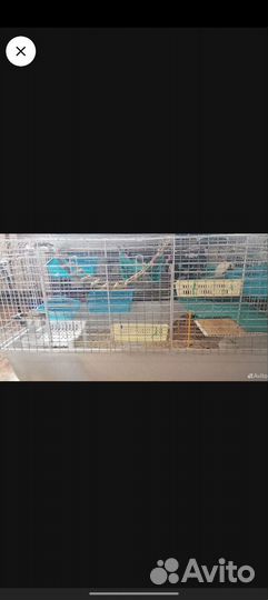 Клетка для грызунов большая