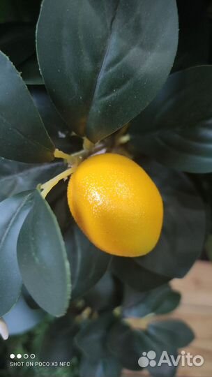 Искусственное дерево лимон