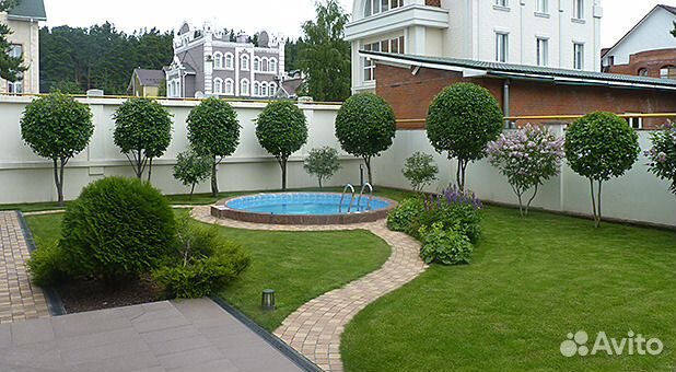 Рулонный газон, озеленение