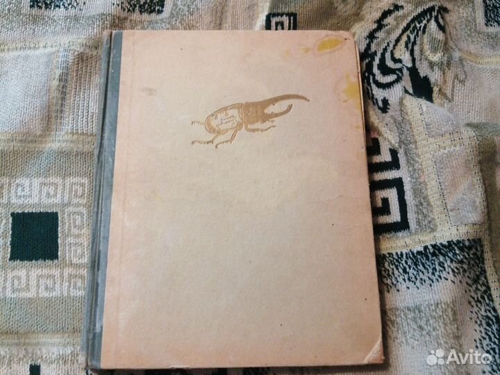 Занимательная зоология. Цингер. 1963г