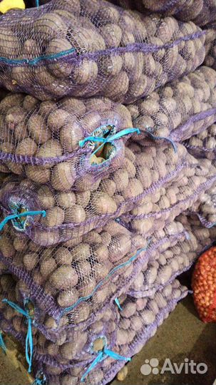 Продам картофель с бесплатной доставкой