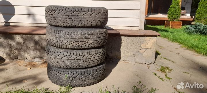 Tigar Winter 185/65 R15