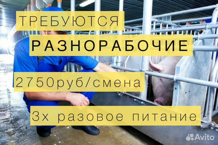 Вахта в Брянской области