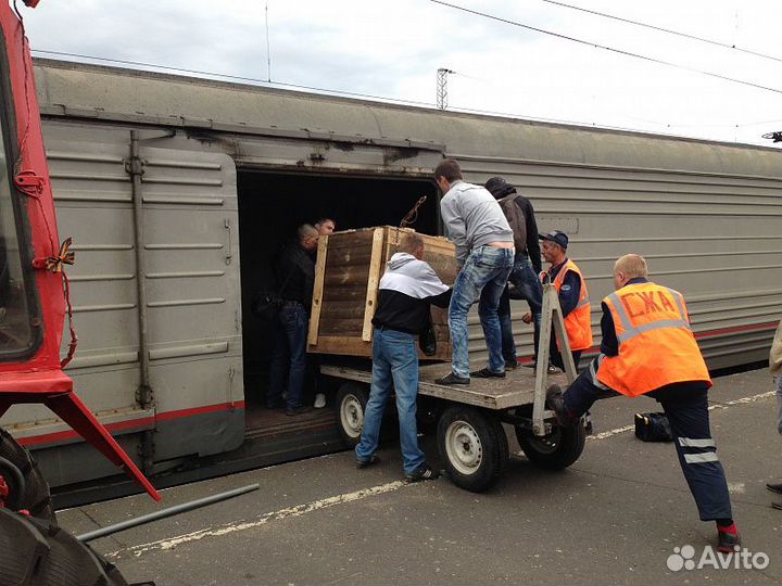 Грузоперевозки