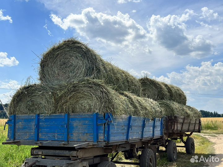 Продается сено в рулонах