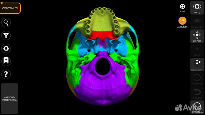 Репетитор по нормальной анатомии человека
