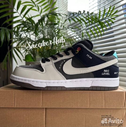 Nike sb dunk low camcorder