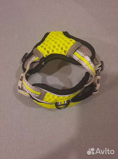 Шлейка для маленькой собаки