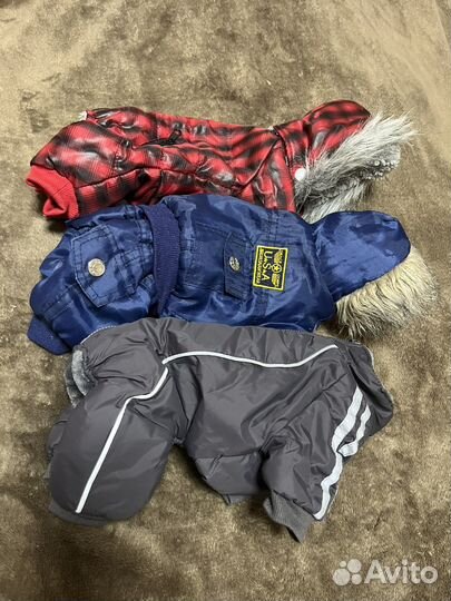 Одежда для маленьких собак s/xs