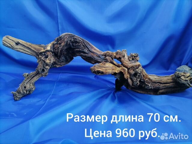 Коряги для аквариума купить в Москве | Животные и зоотовары | Авито