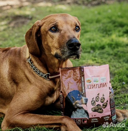 Корм для щенков крупных пород 