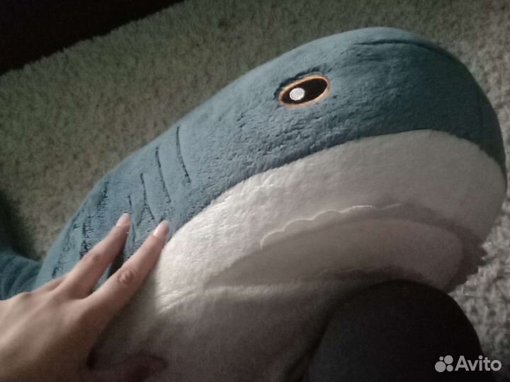 Акула из икеи
