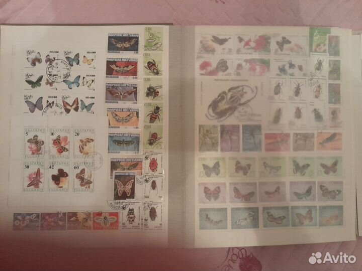 Марки фауна альбом бабочки