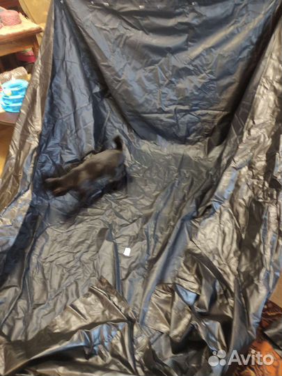 Тент высокий для легкового прицепа 8213