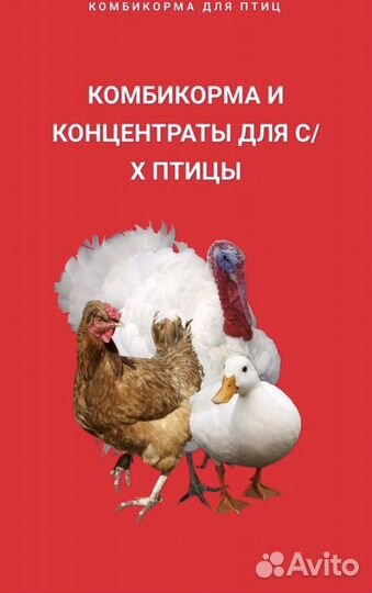 Корма для животных purina