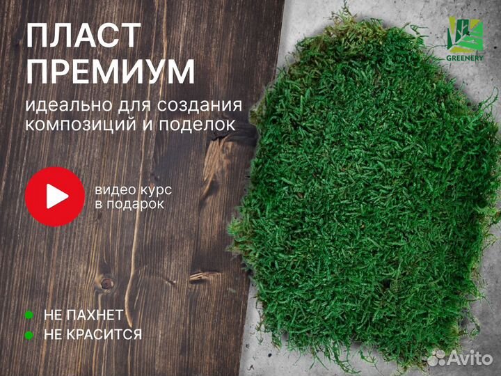 Стабилизированный мох Пласт премиум