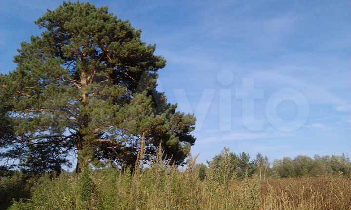 Участок 12 сот. (ИЖС)