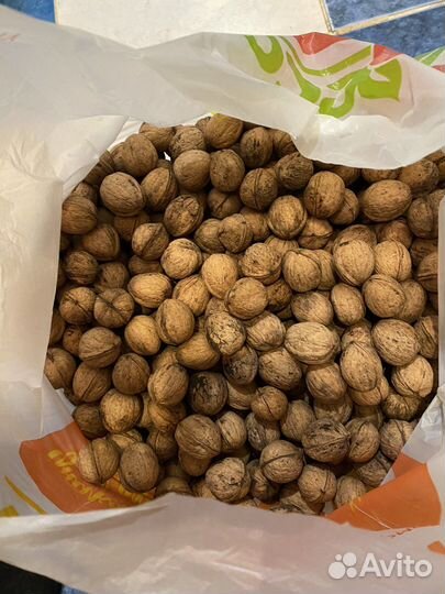 Орех грецкий