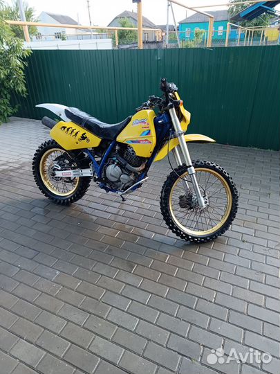 Suzuki dr 250