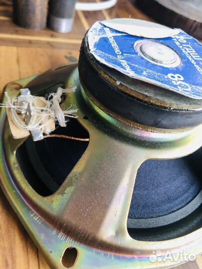 Динамики 20 гдш-106