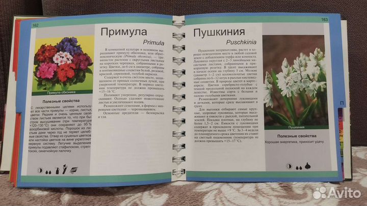 Книга о цветах