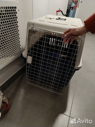 Клетка для перевоза животного