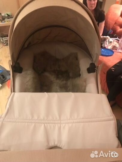 Коляска Stokke 3/1 со всеми аксессуарами